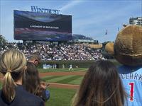 MLB: Tampa Bay Rays at Chicago Cubs